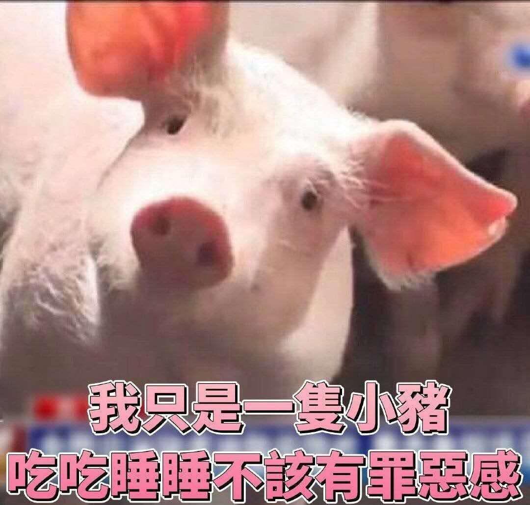 肥宅之歌