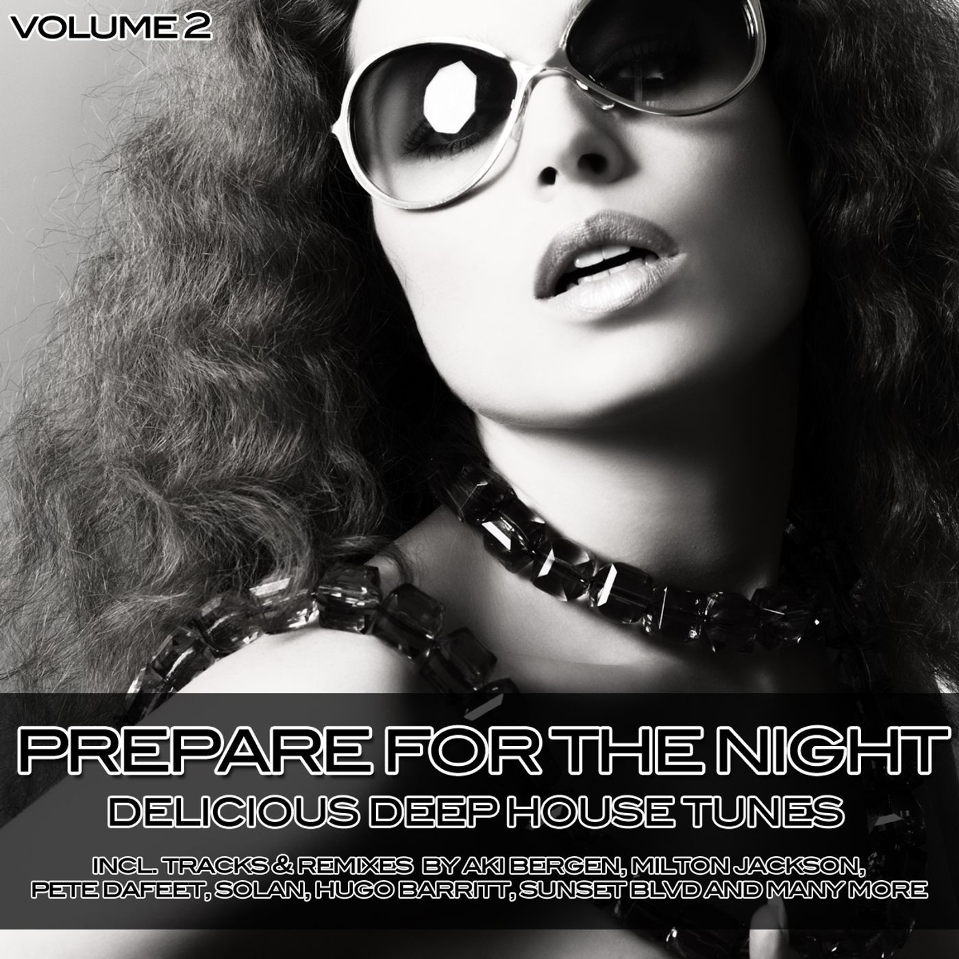 Prepare for the Night - Delicious Deep House Tunes Vol. 2