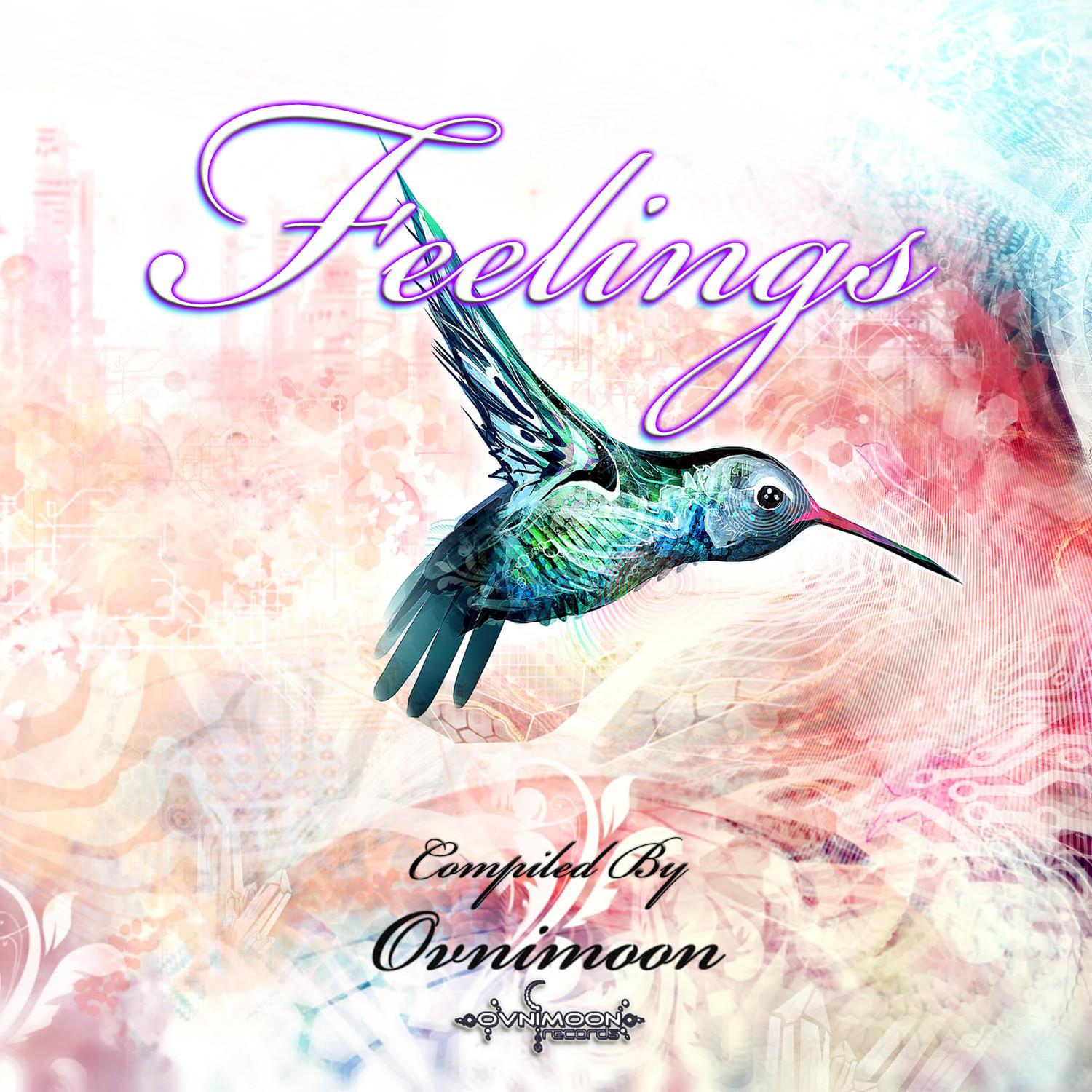 Feelings: Compiled By Ovnimoon (Best of Goa, Progressive Psy, Fullon Psy, Psychedelic Trance)