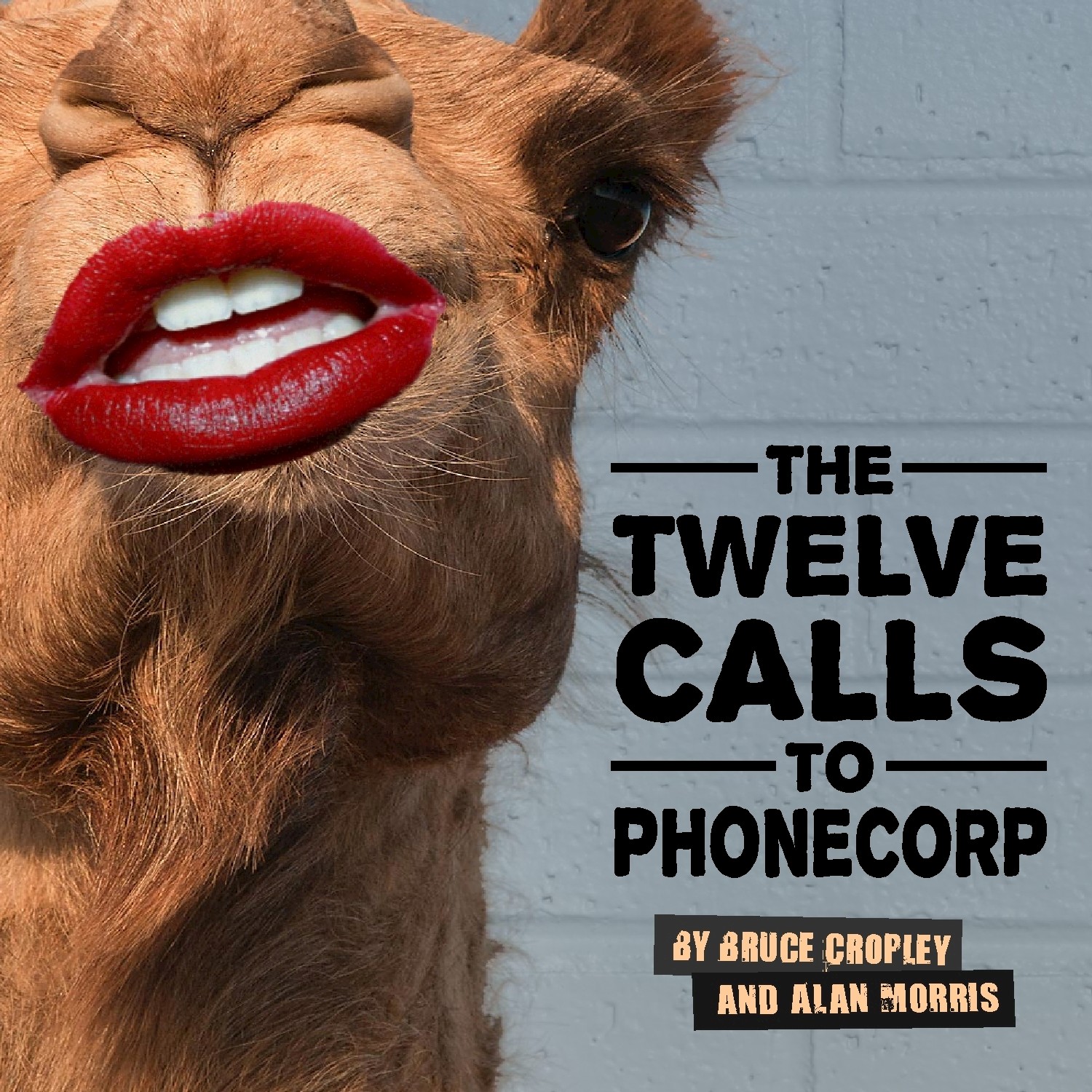 The Twelve Calls to PhoneCorp