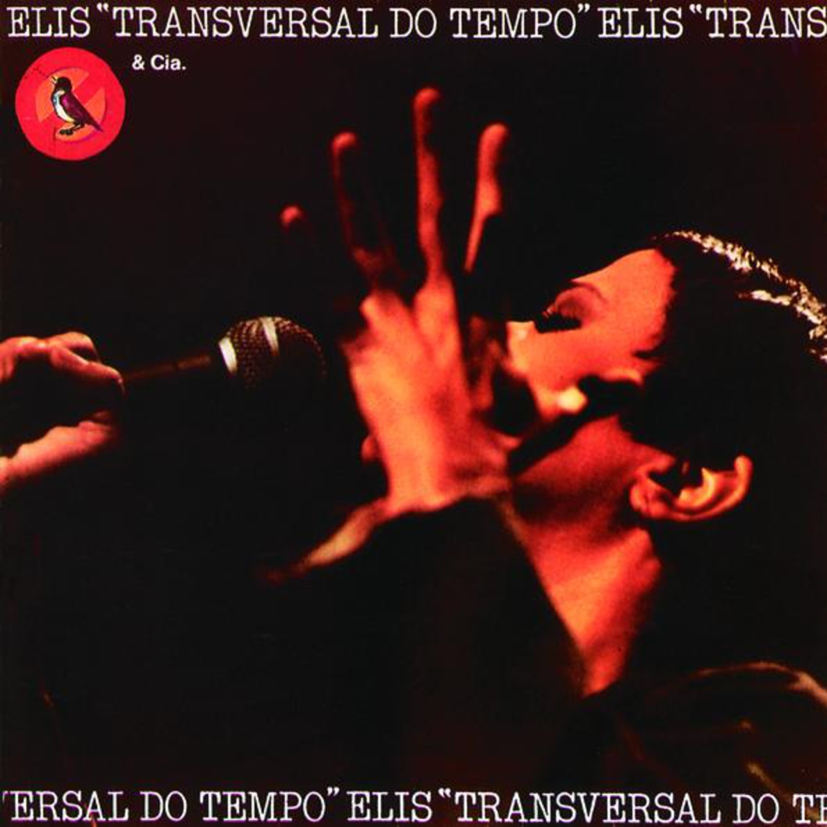 Transversal Do Tempo