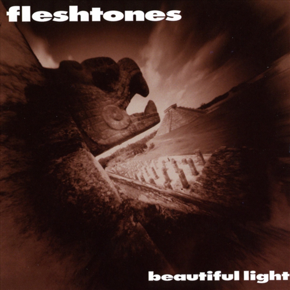 Take A Walk With The Fleshtones