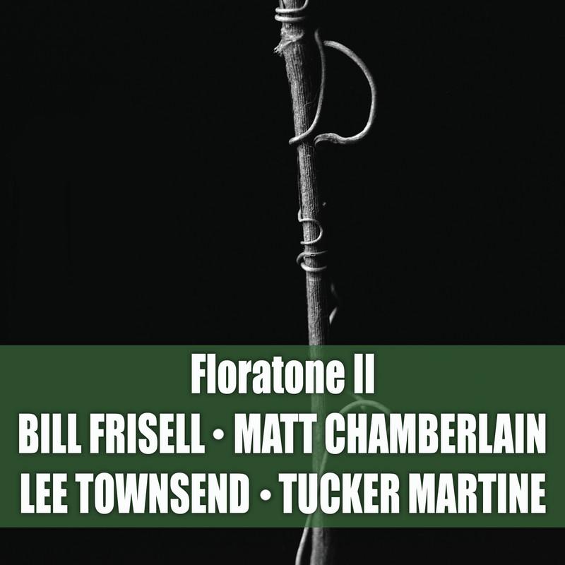 Floratone II