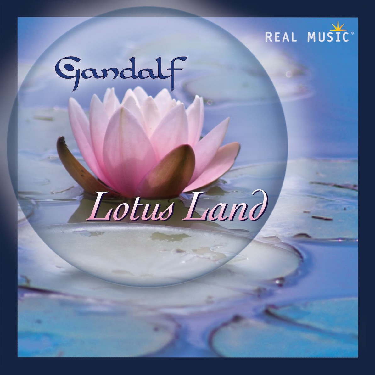 The Lotus Unfolds