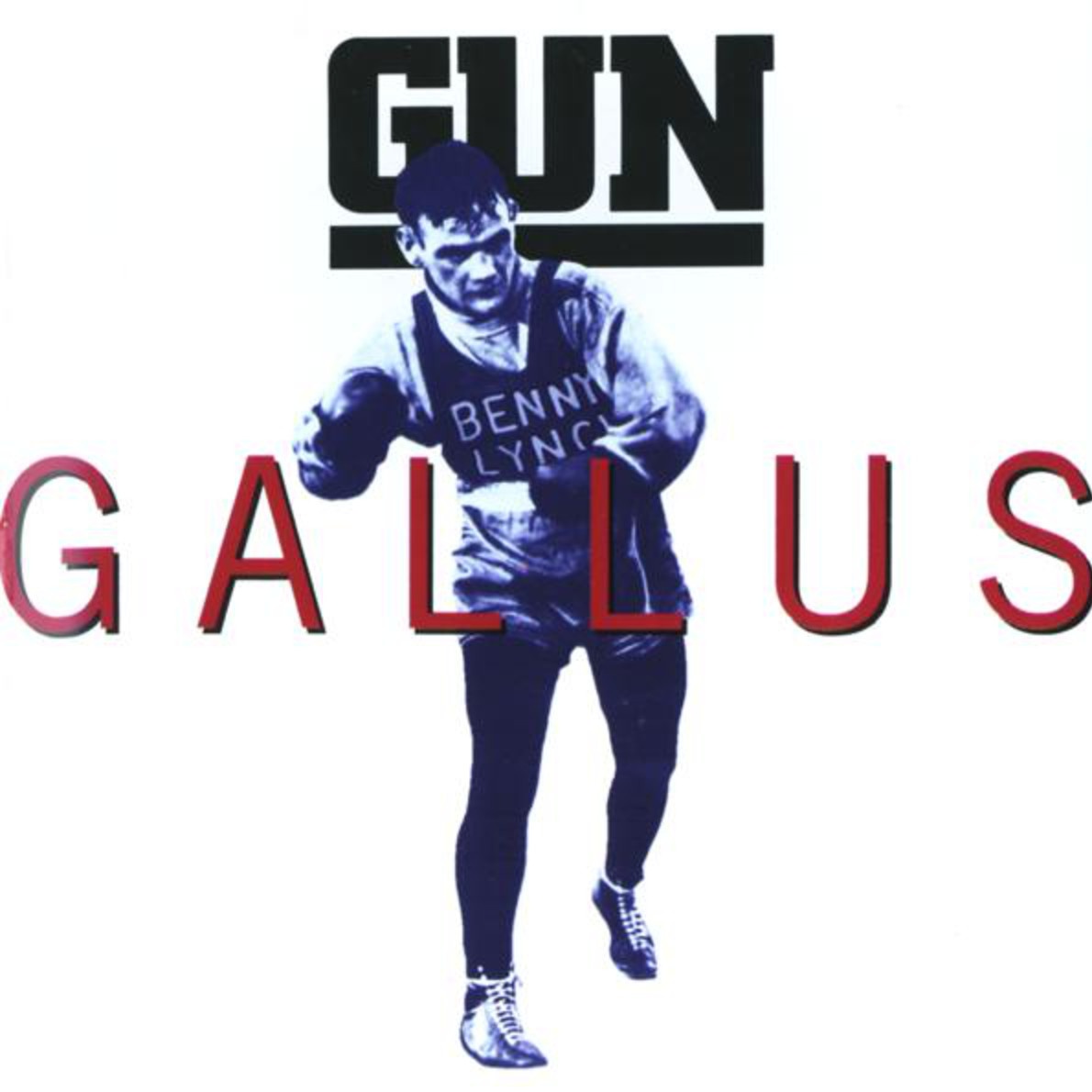 Gallus