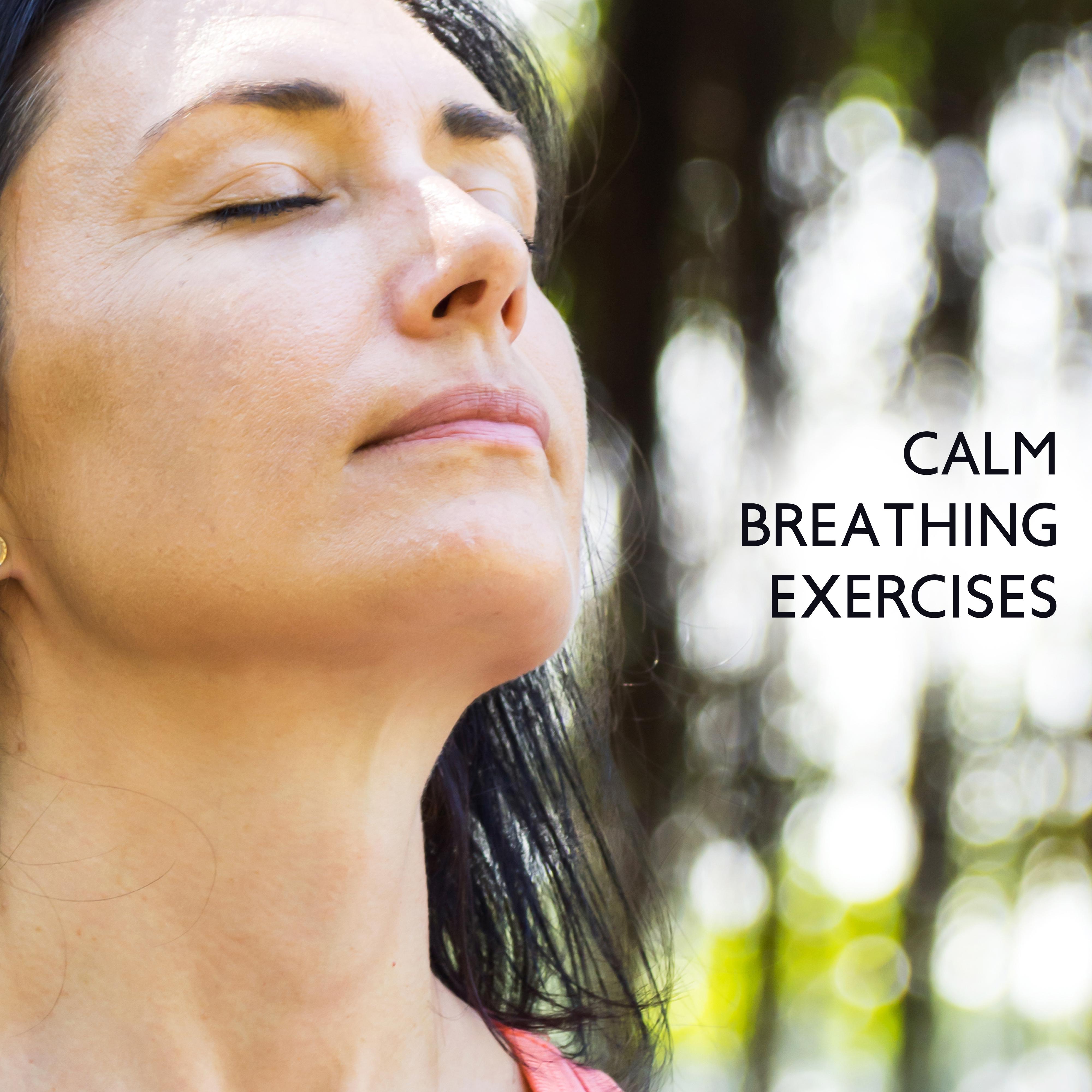 Calm Breathing Exercises - Quiet Melodies for Breathing Exercises Relieving Stress, Feeling of Tension and Fatigue, Improving Well-Being and General Mood