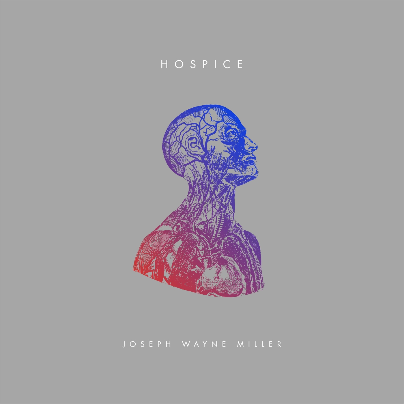 Hospice