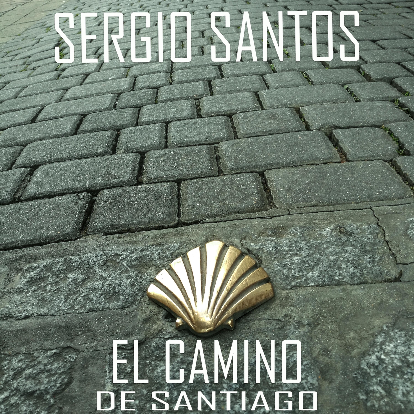 El Camino de Santiago