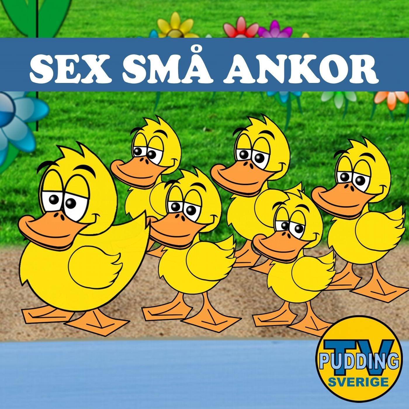 *** små ankor