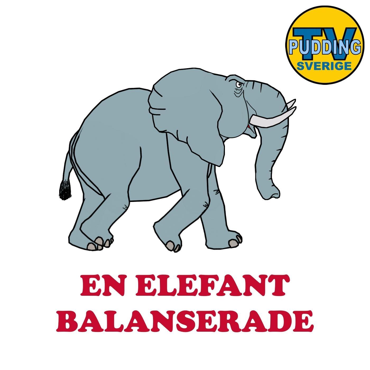 En elefant balanserade