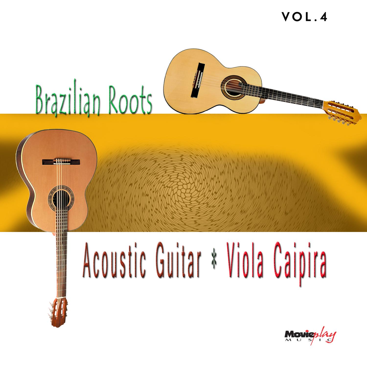 Acoustic Guitar e Viola, Vol.4