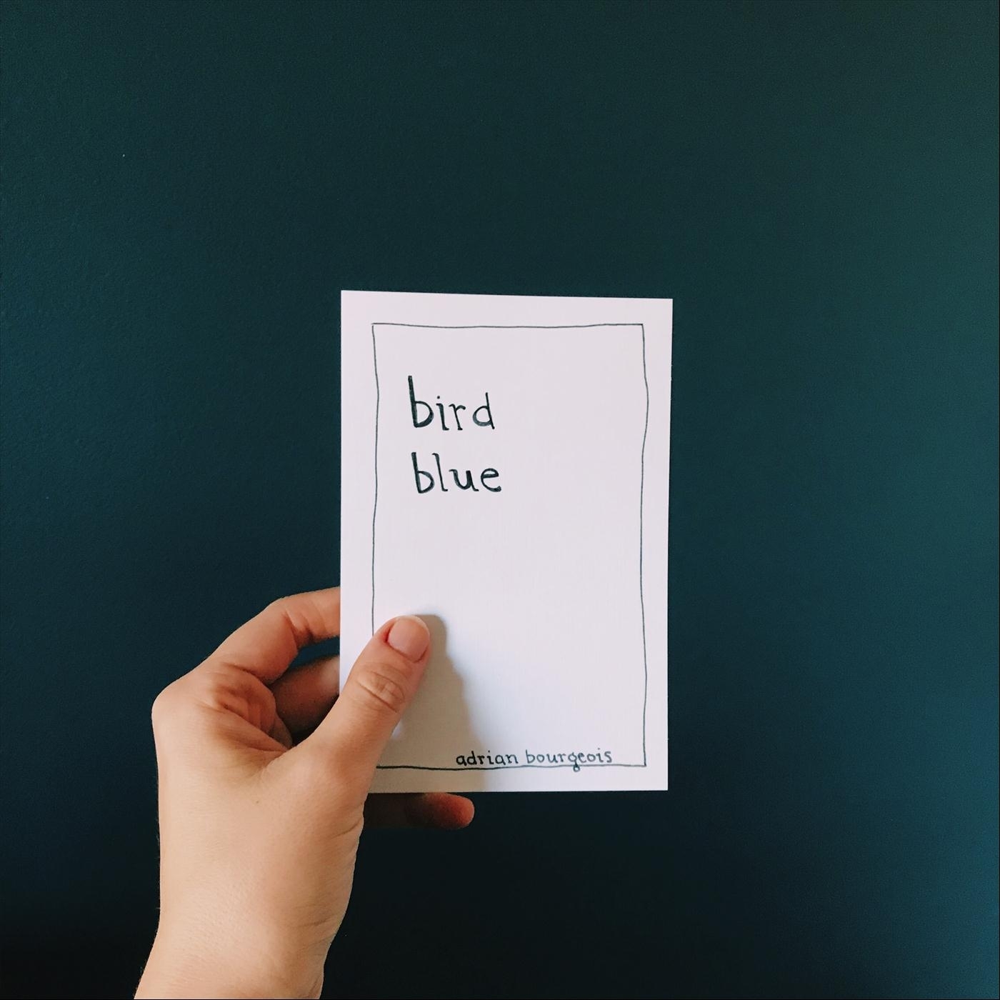 Bird Blue