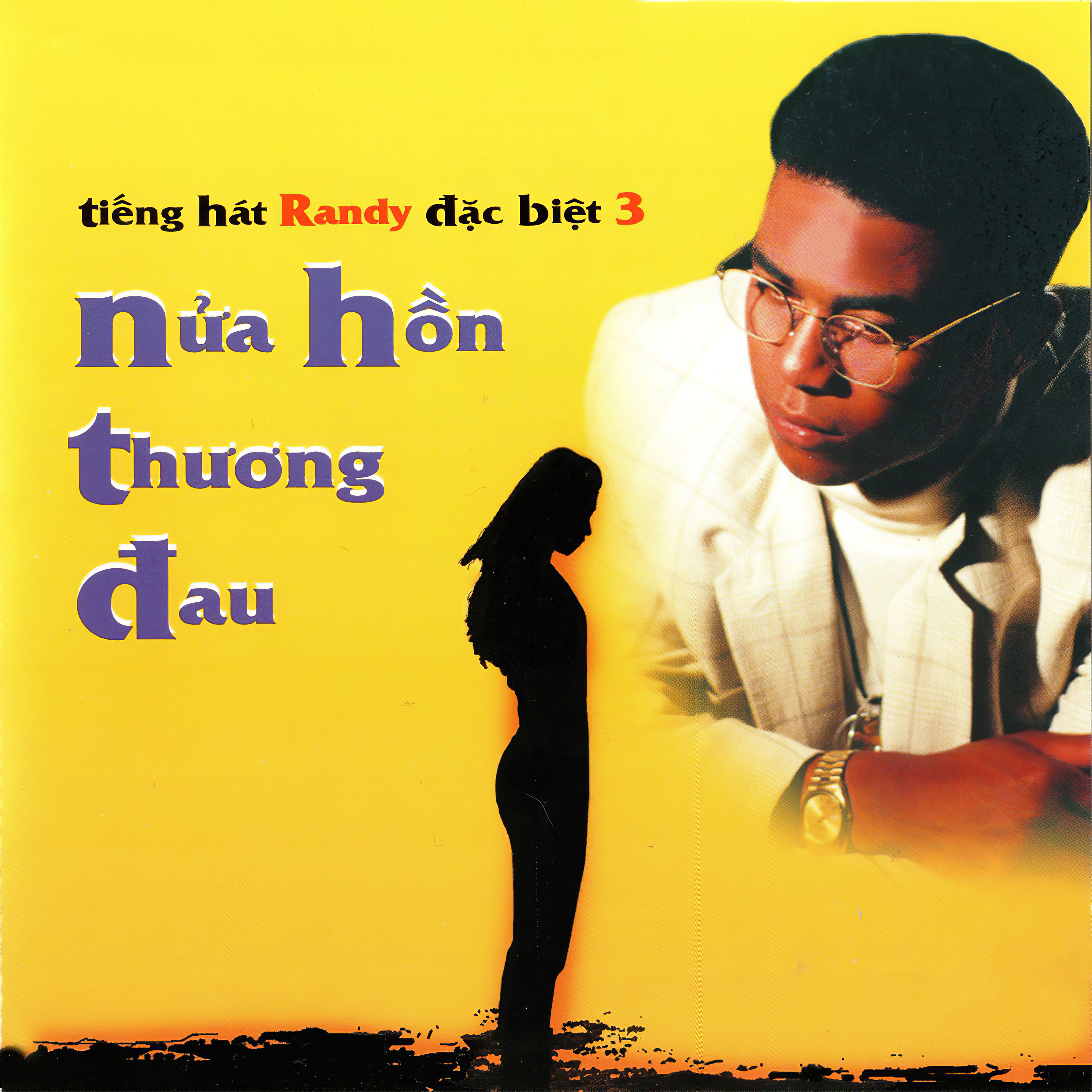 Tiếng Hát Randy Đặc Biệt 3 (Nửa Hồn Thương Đau)