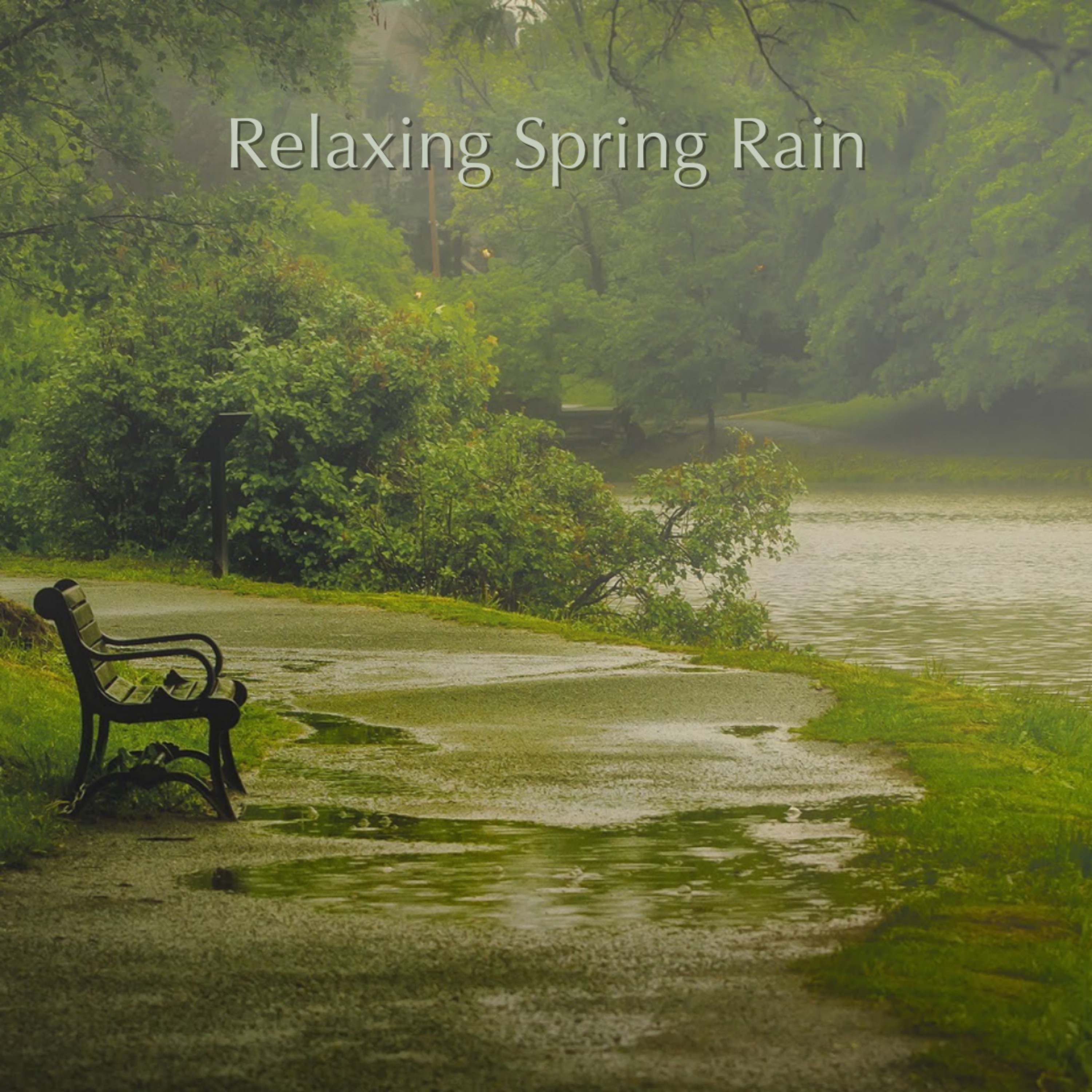 Relaxing Spring Rain