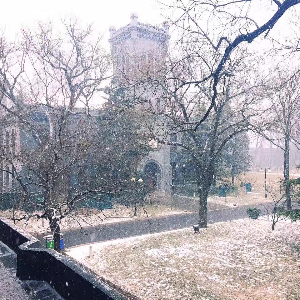 此时初雪