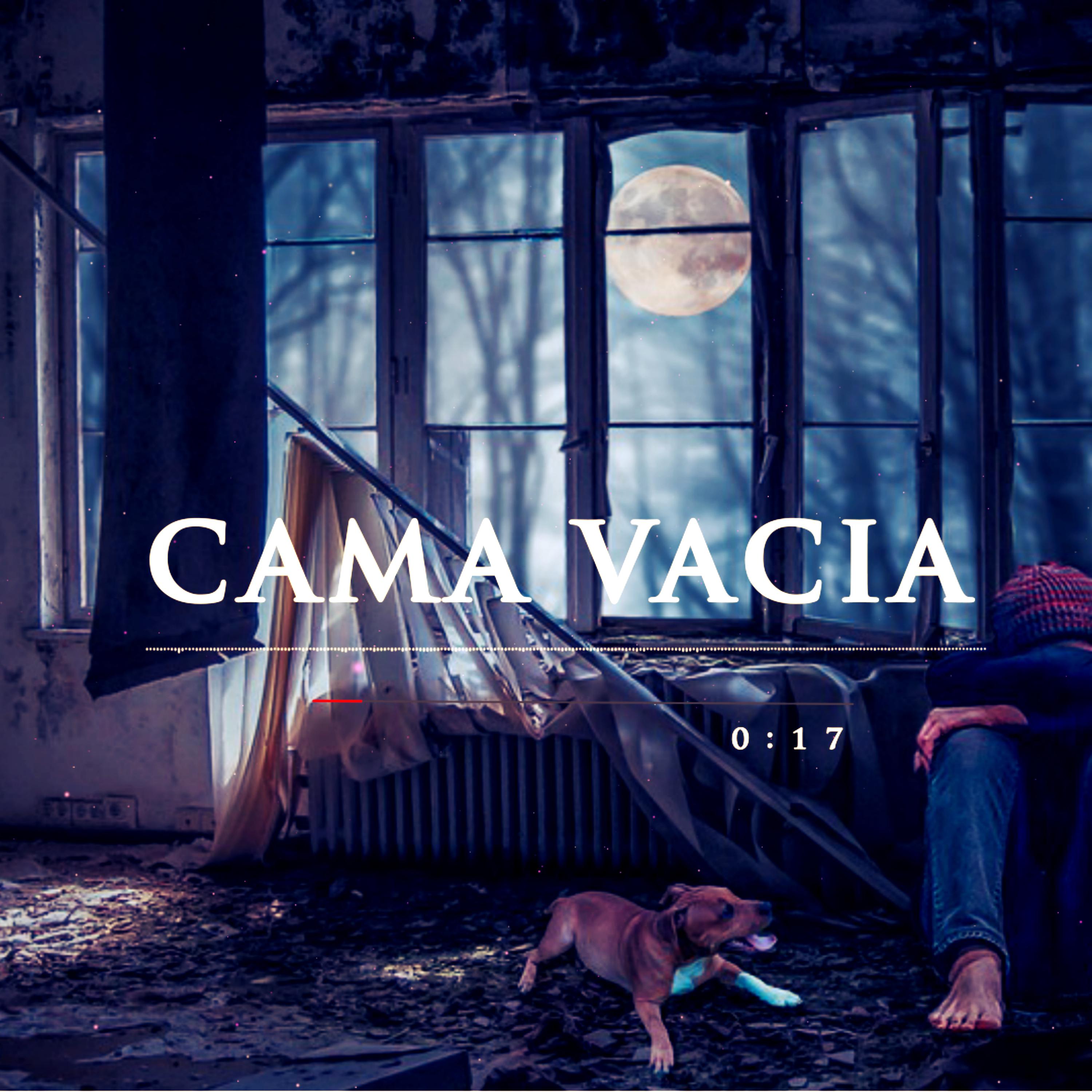 Cama Vacia