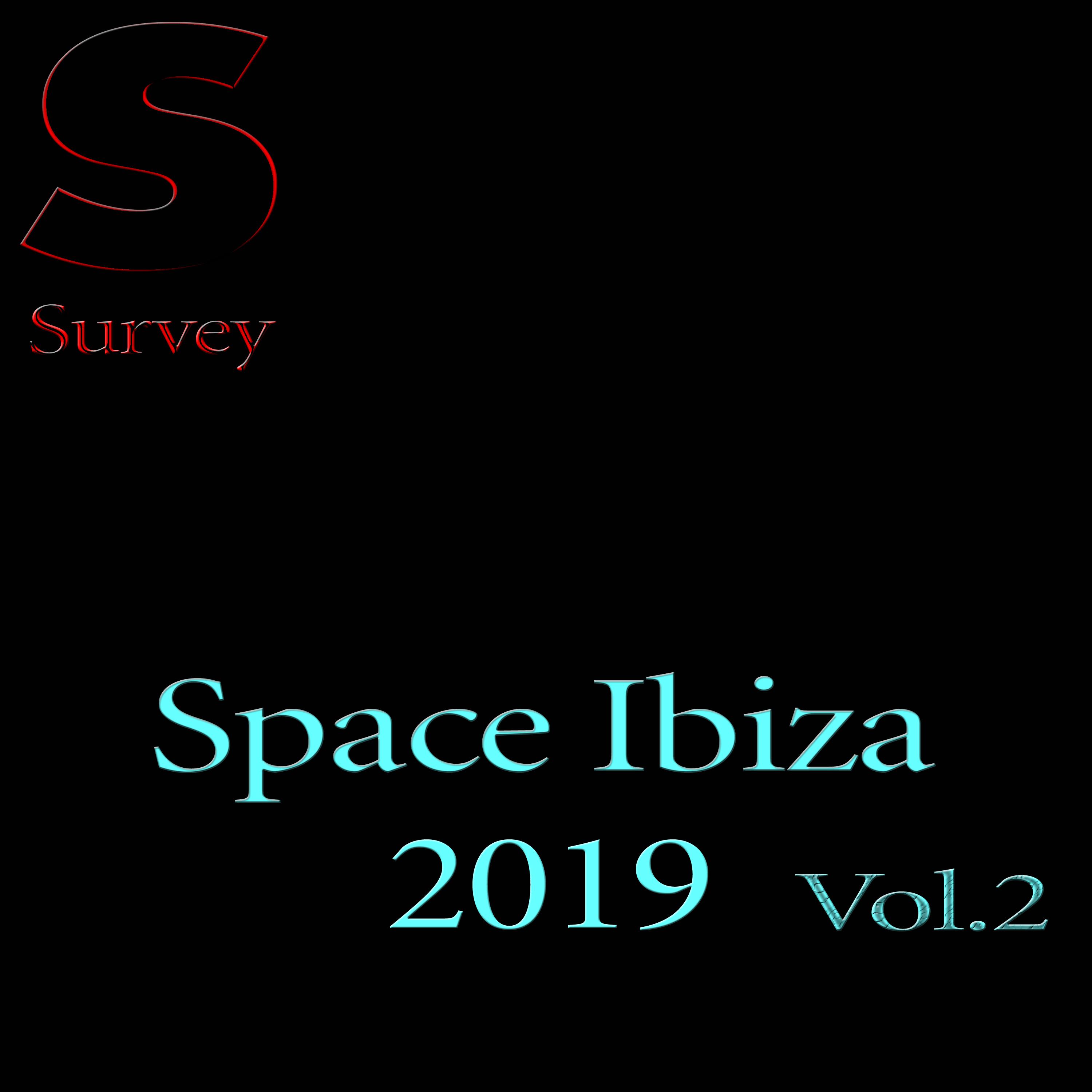 Space Ibiza 2019, Vol.2