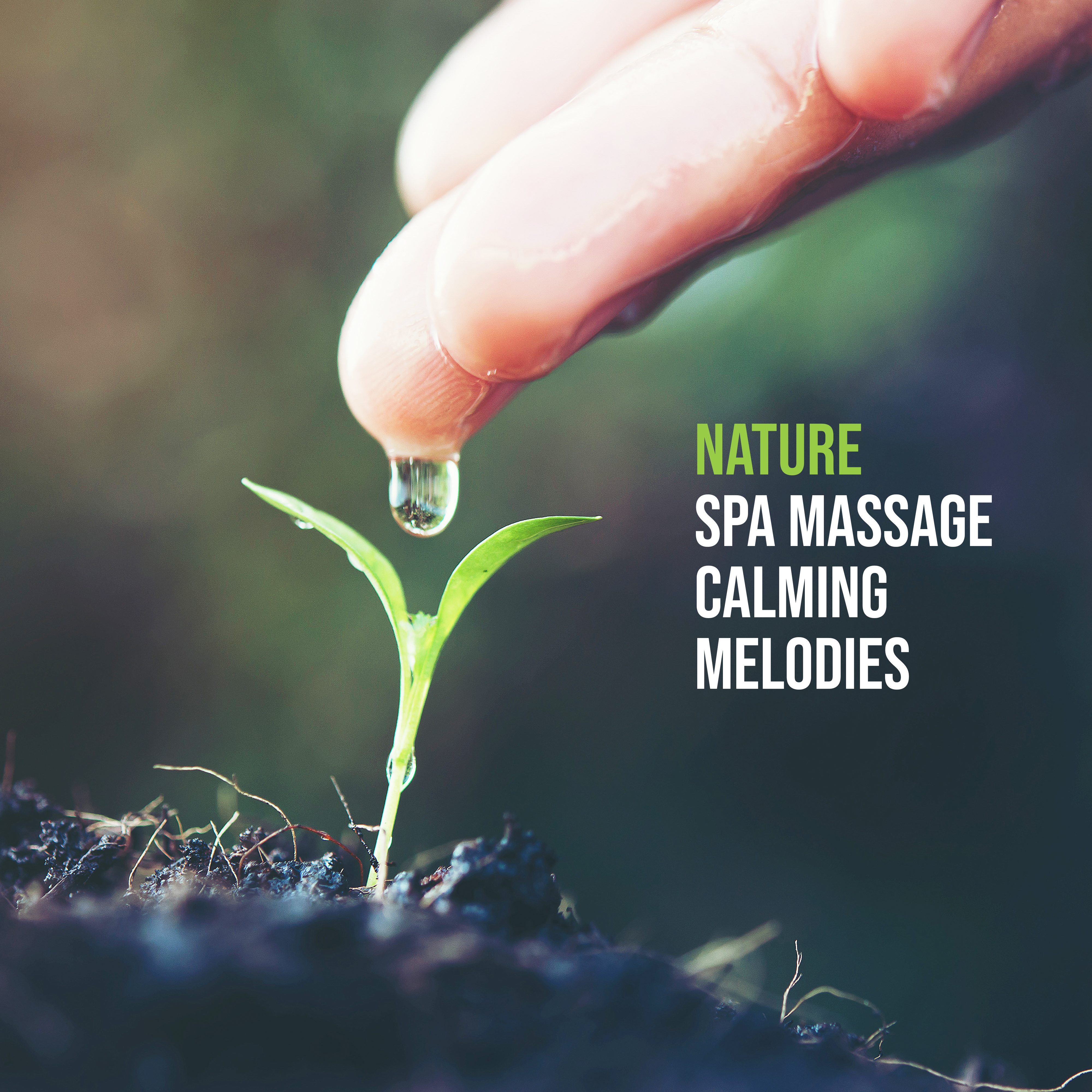 Nature Spa Massage Calming Melodies – New Age Spa & Wellness Sounds of Nature, Bird's Songs, Slow Relaxing Music