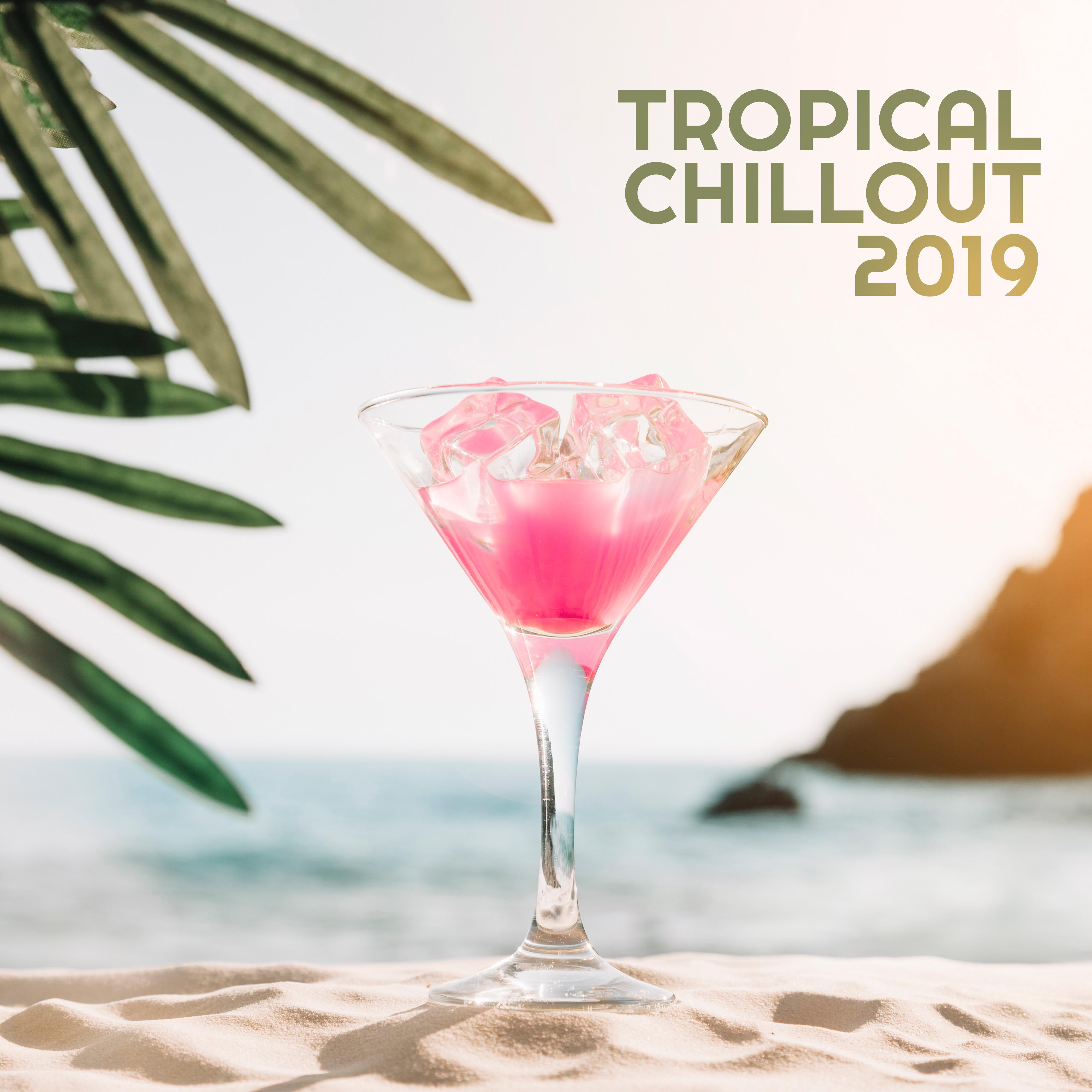Tropical Chillout 2019 – Summer Electronic Vibes, Rest Under the Palms, Calming On the Beach