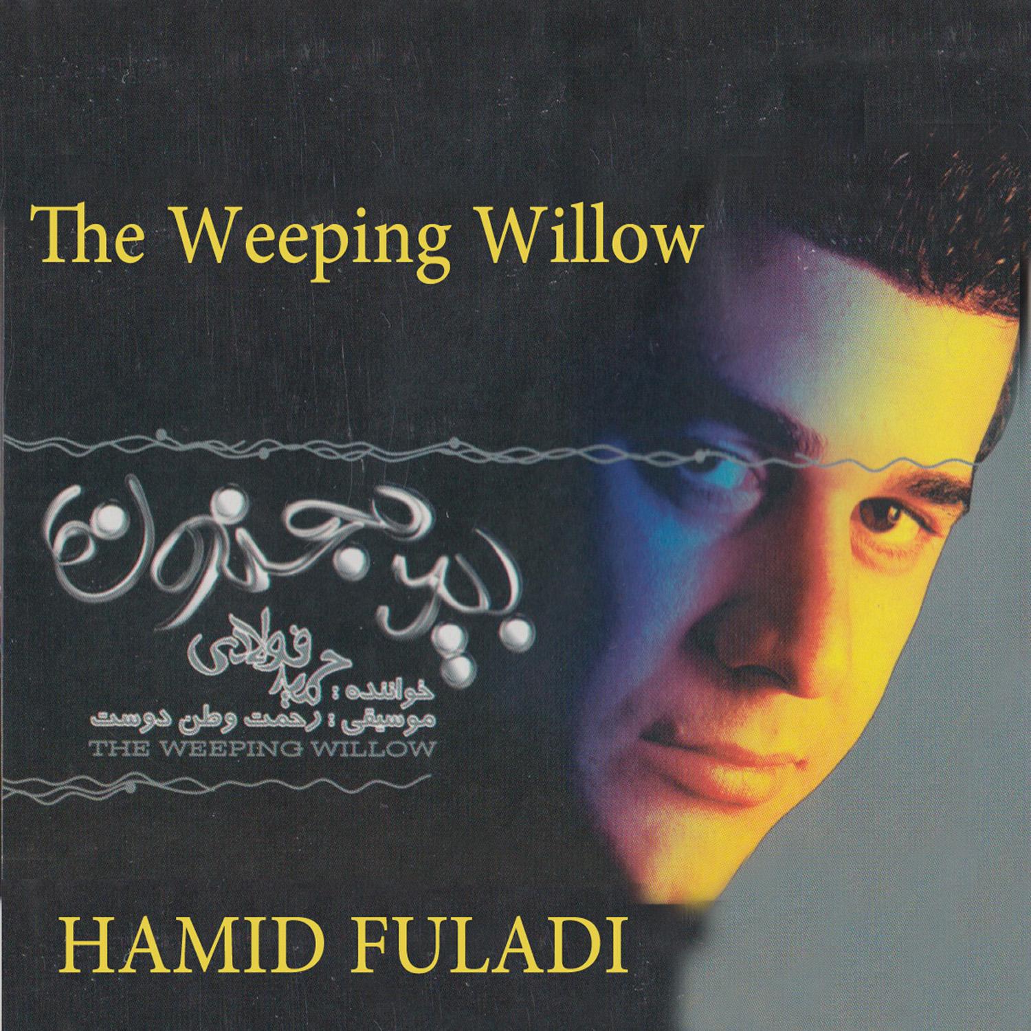 Bid-E Majnoon (The Weeping Willow)