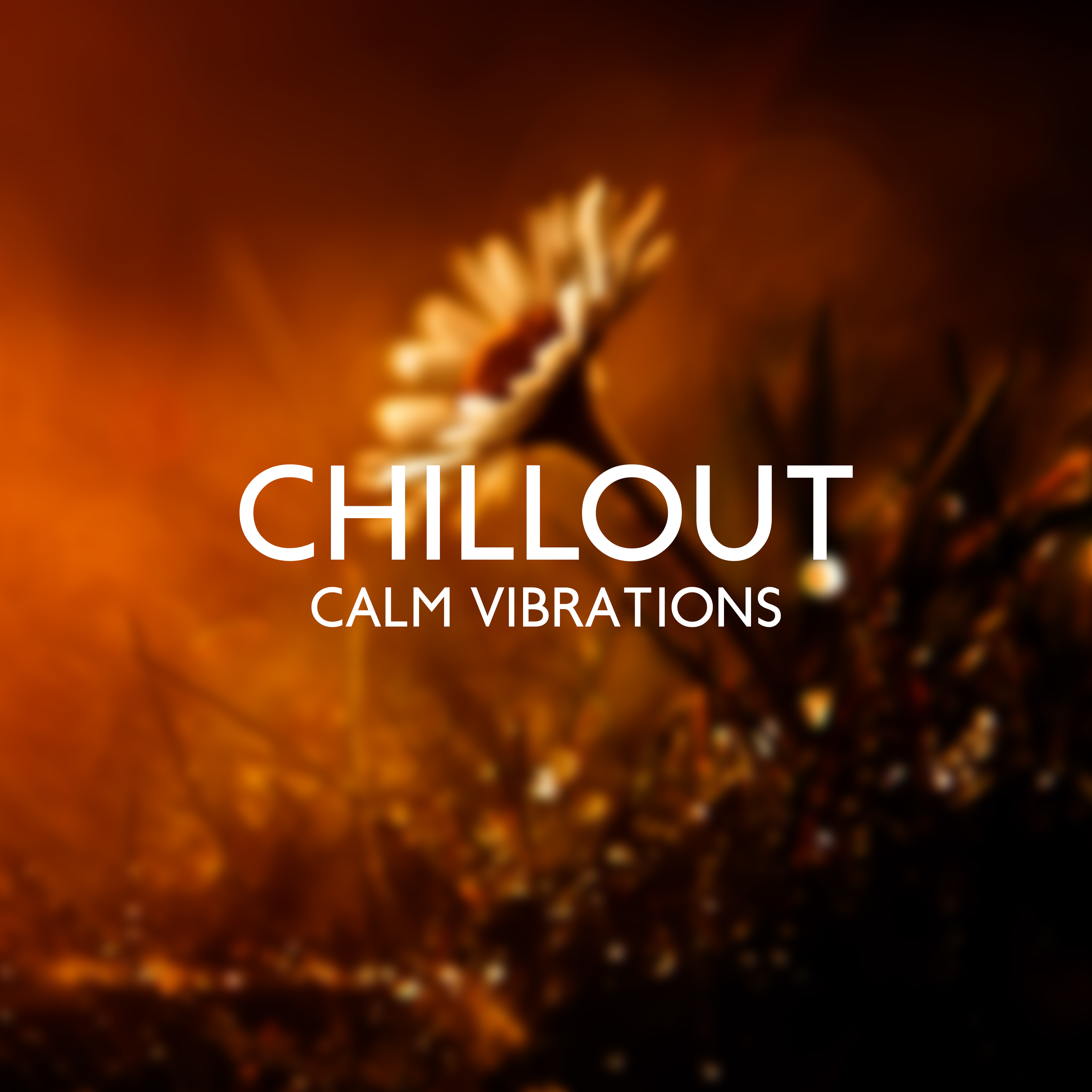 Chillout Calm Vibrations – Music to Calm Down, Pure Beats for Relaxation, Coffee Chillout, Antistress Music