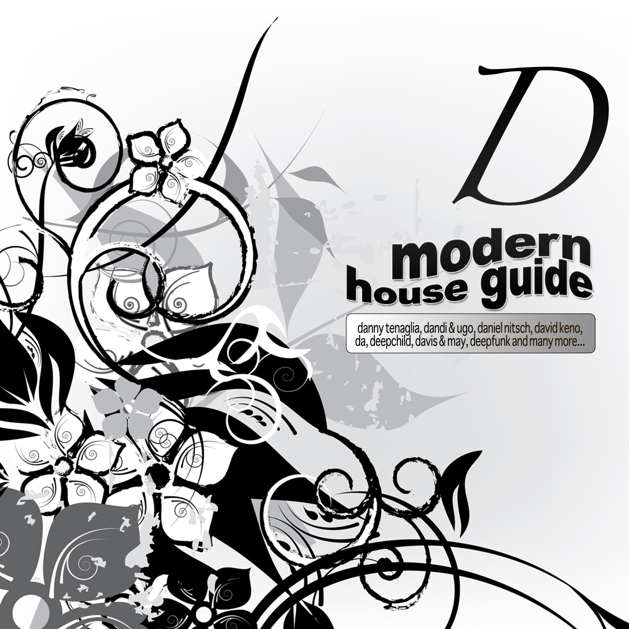 Modern House Guide - D