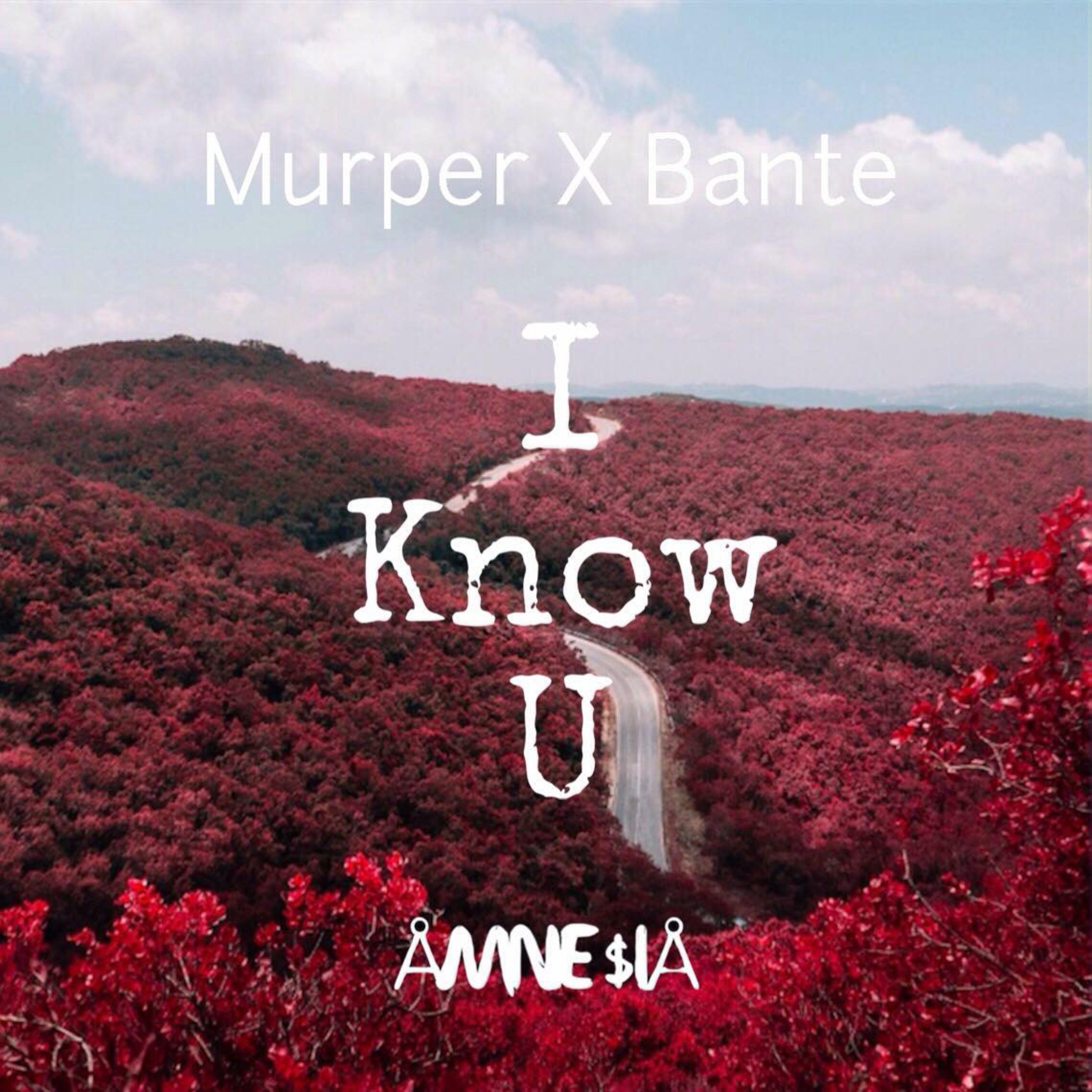 I Know U (Ft. Bante)