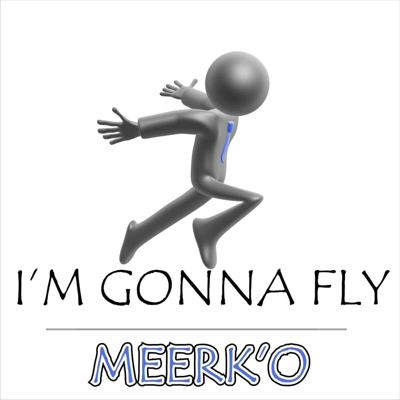 I'm Gonna Fly