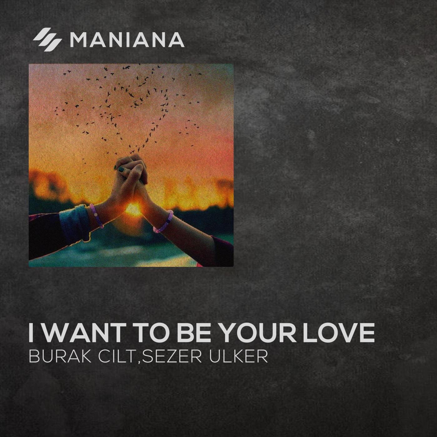 I Want to Be Your Love