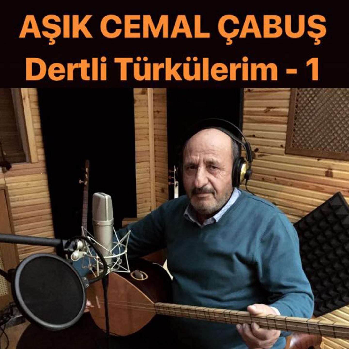 Dertli Türkülerim, Vol. 1