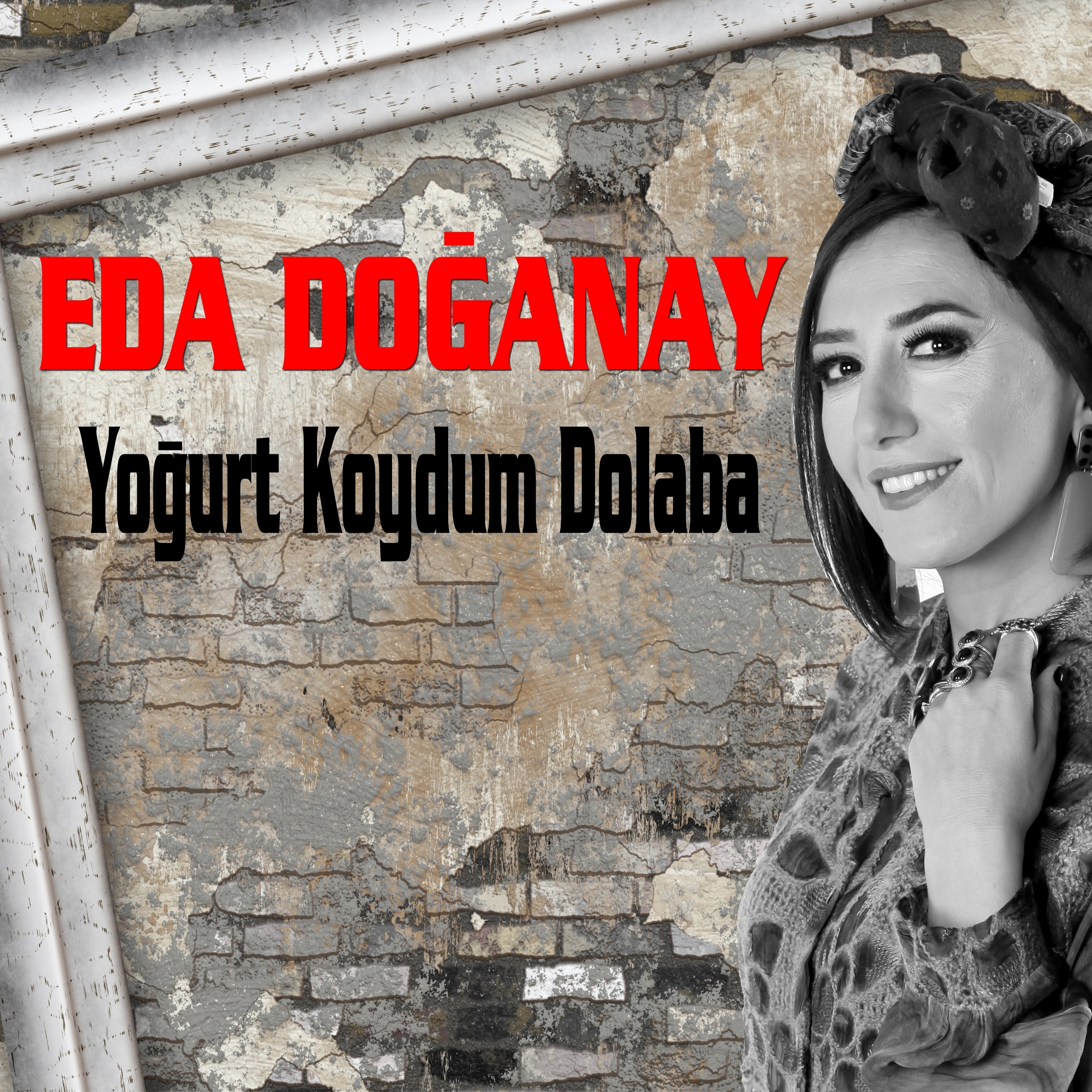 Yoğurt Koydum Dolaba