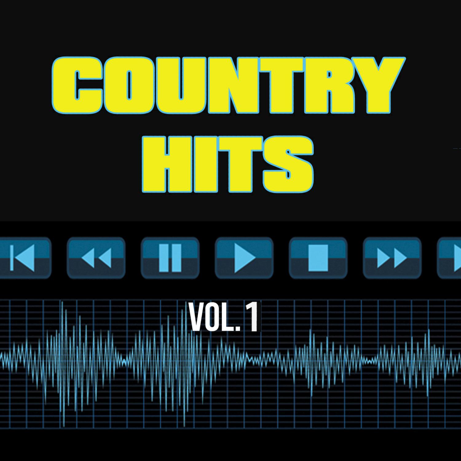 40 Country Hits Vol. 1