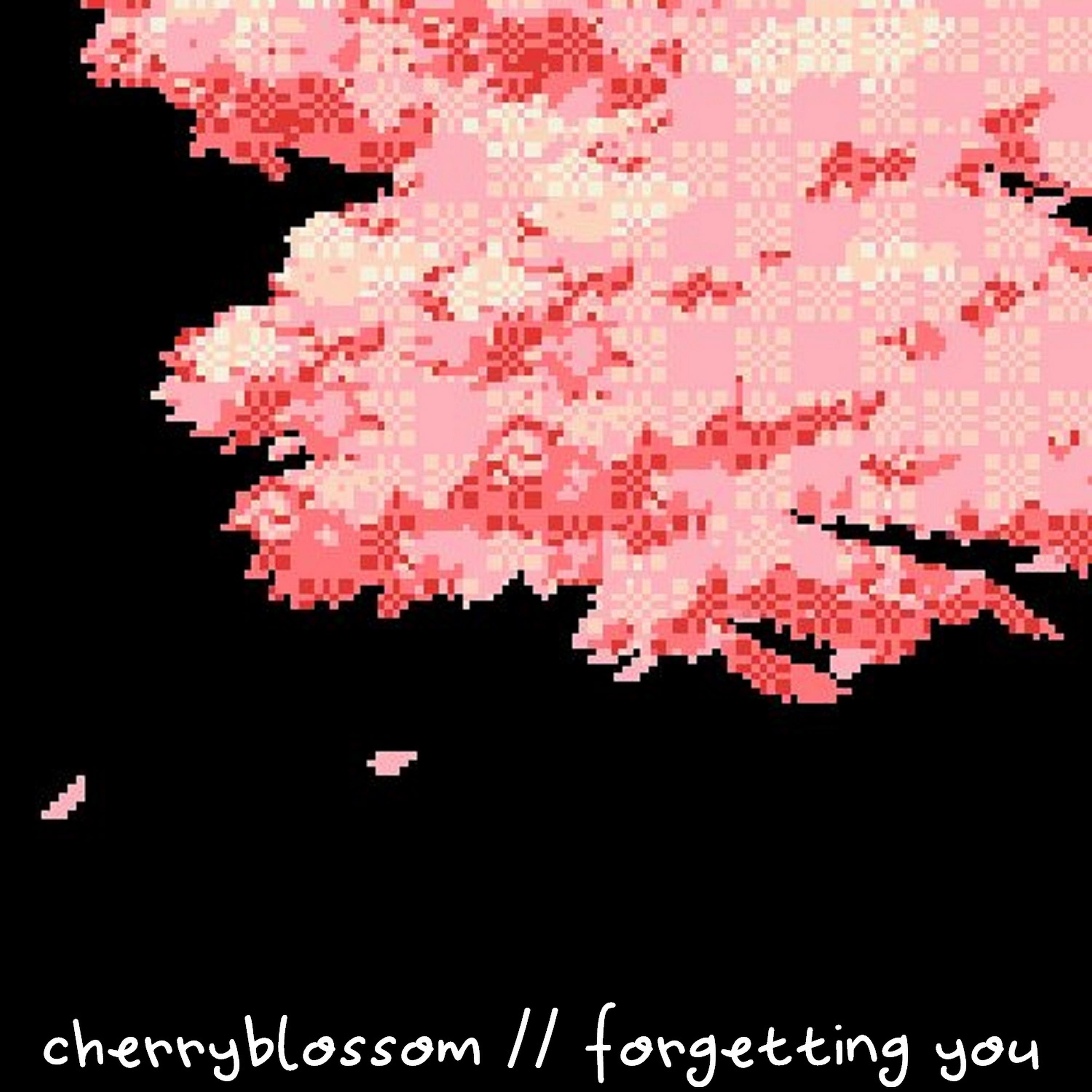 Cherryblossom