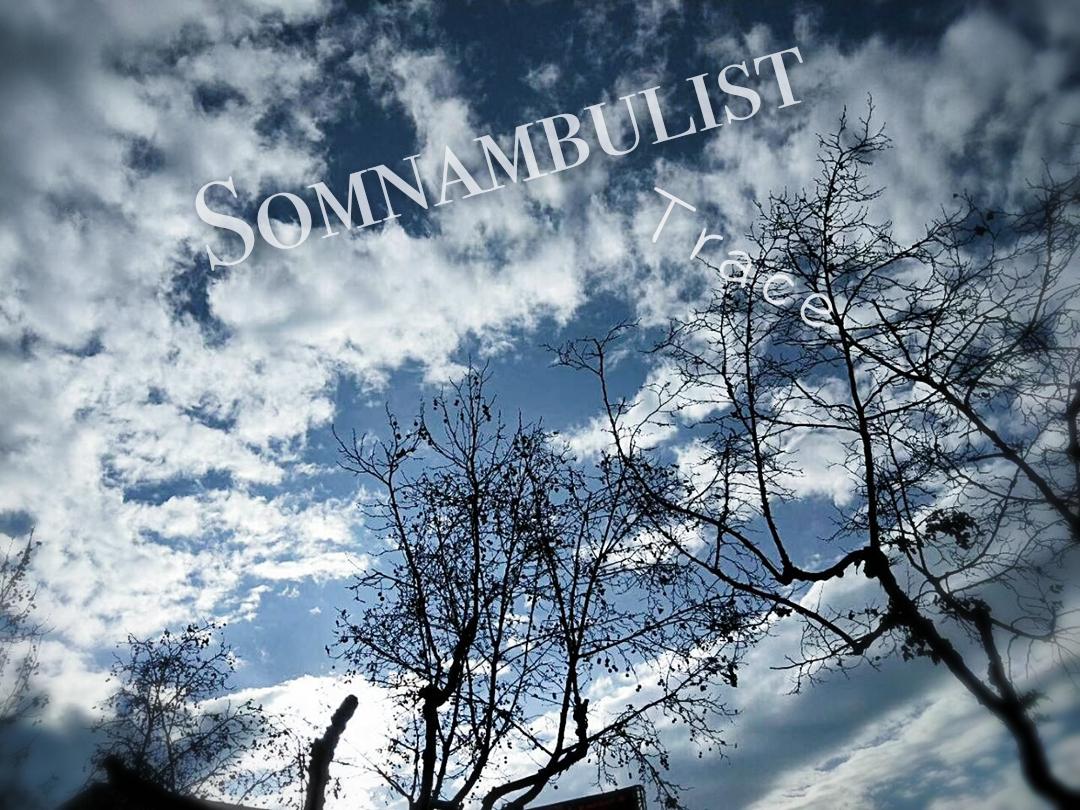 Somnambulist