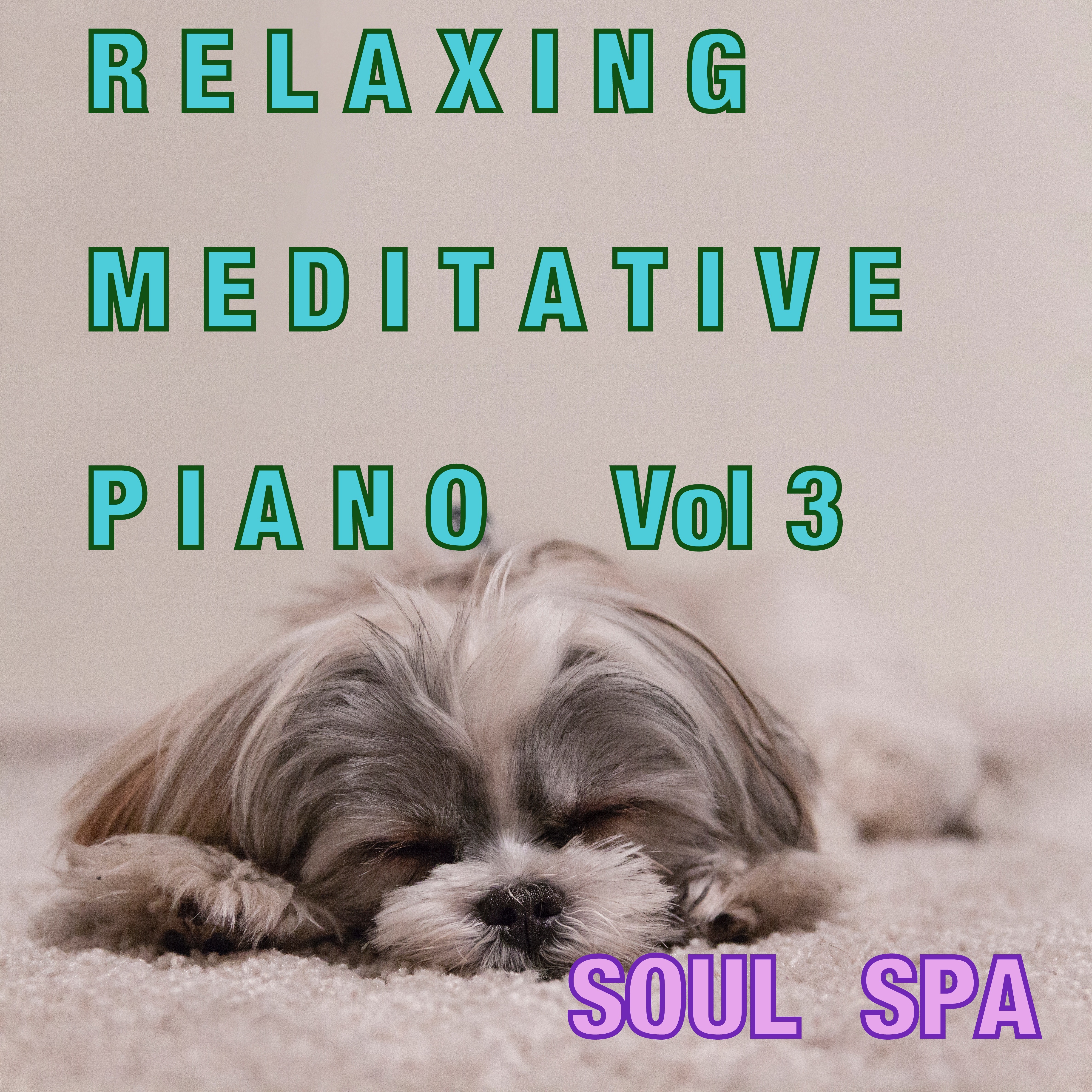 Relaxing Meditative Piano ( Vol 3 )