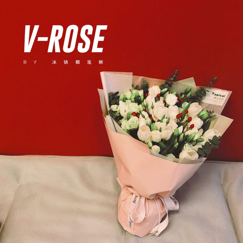 V-ROSE