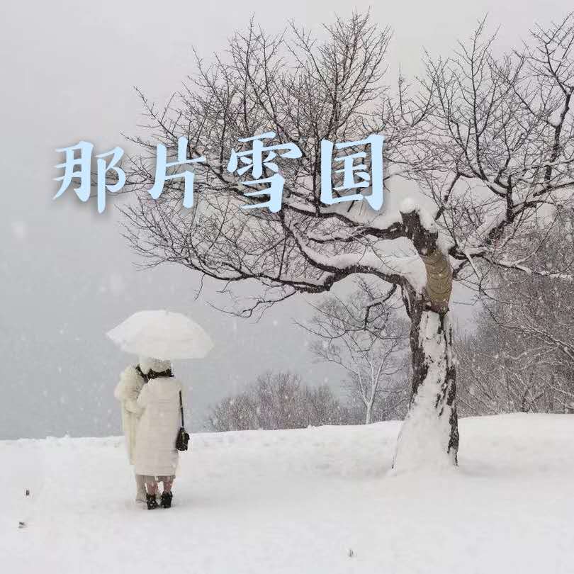 那片雪国