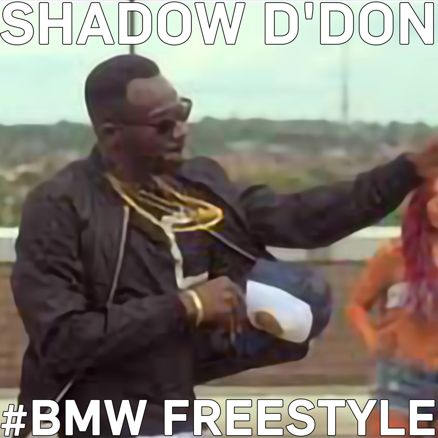 BMW Freestyle