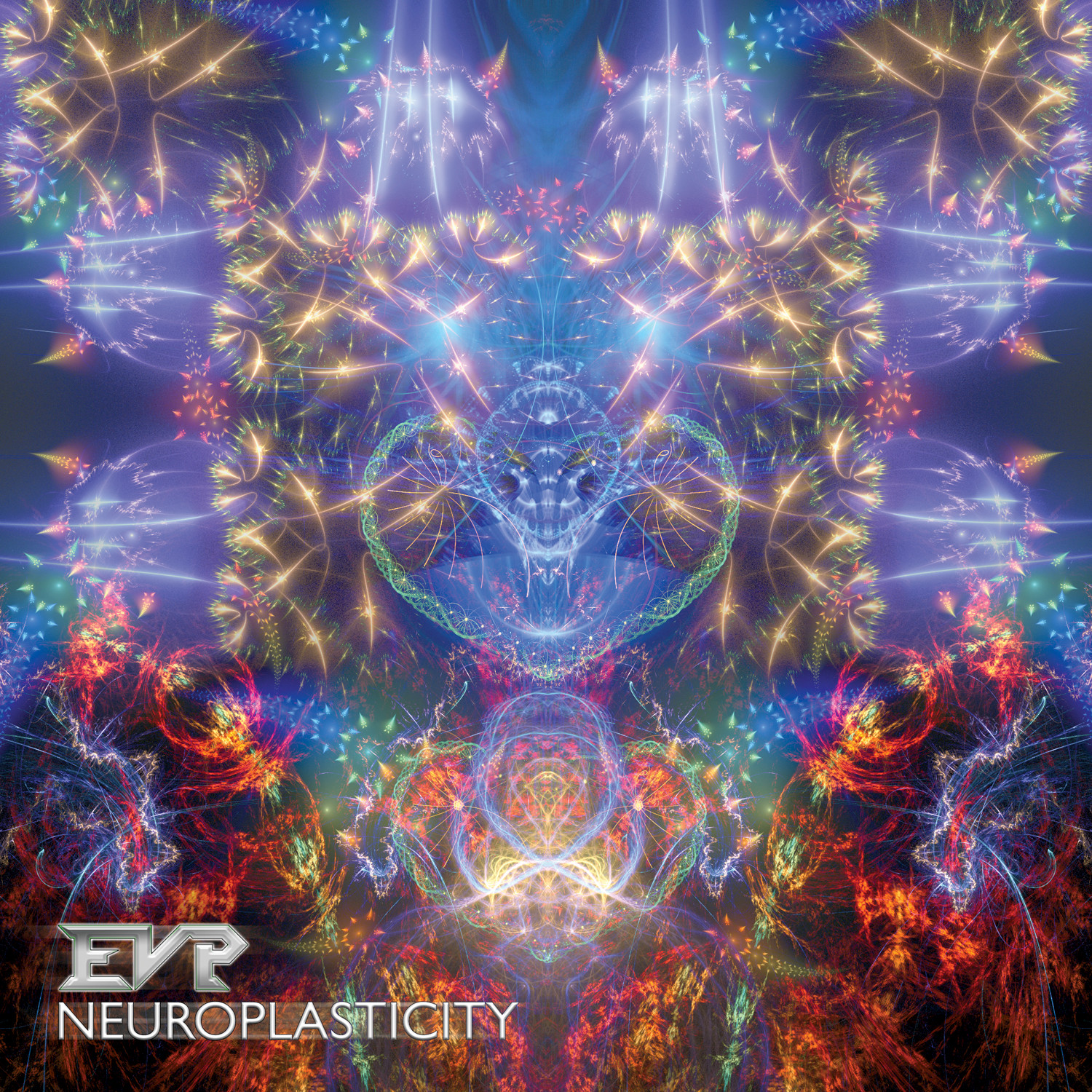 Neuroplasticity