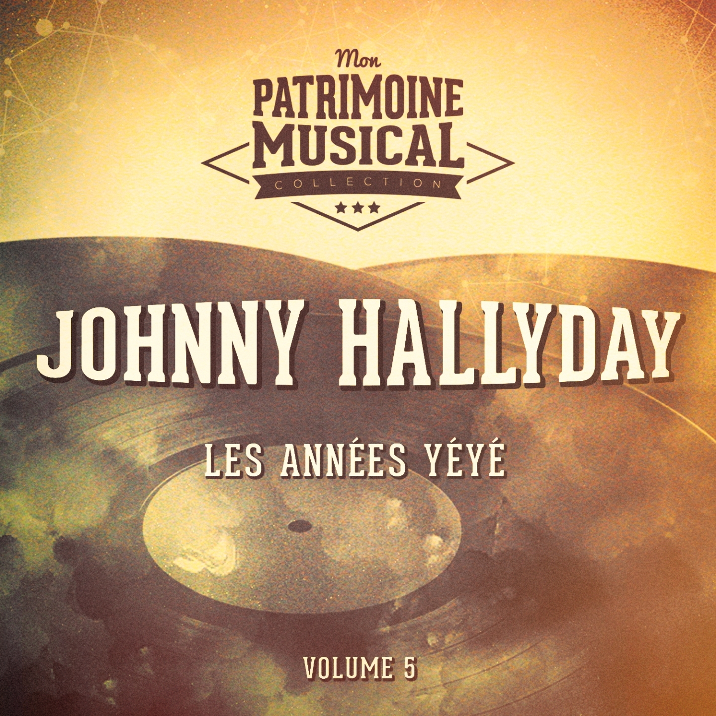 Les années Rock'n'Roll : Johnny Hallyday, Vol. 5 (America's Rockin' Hits)