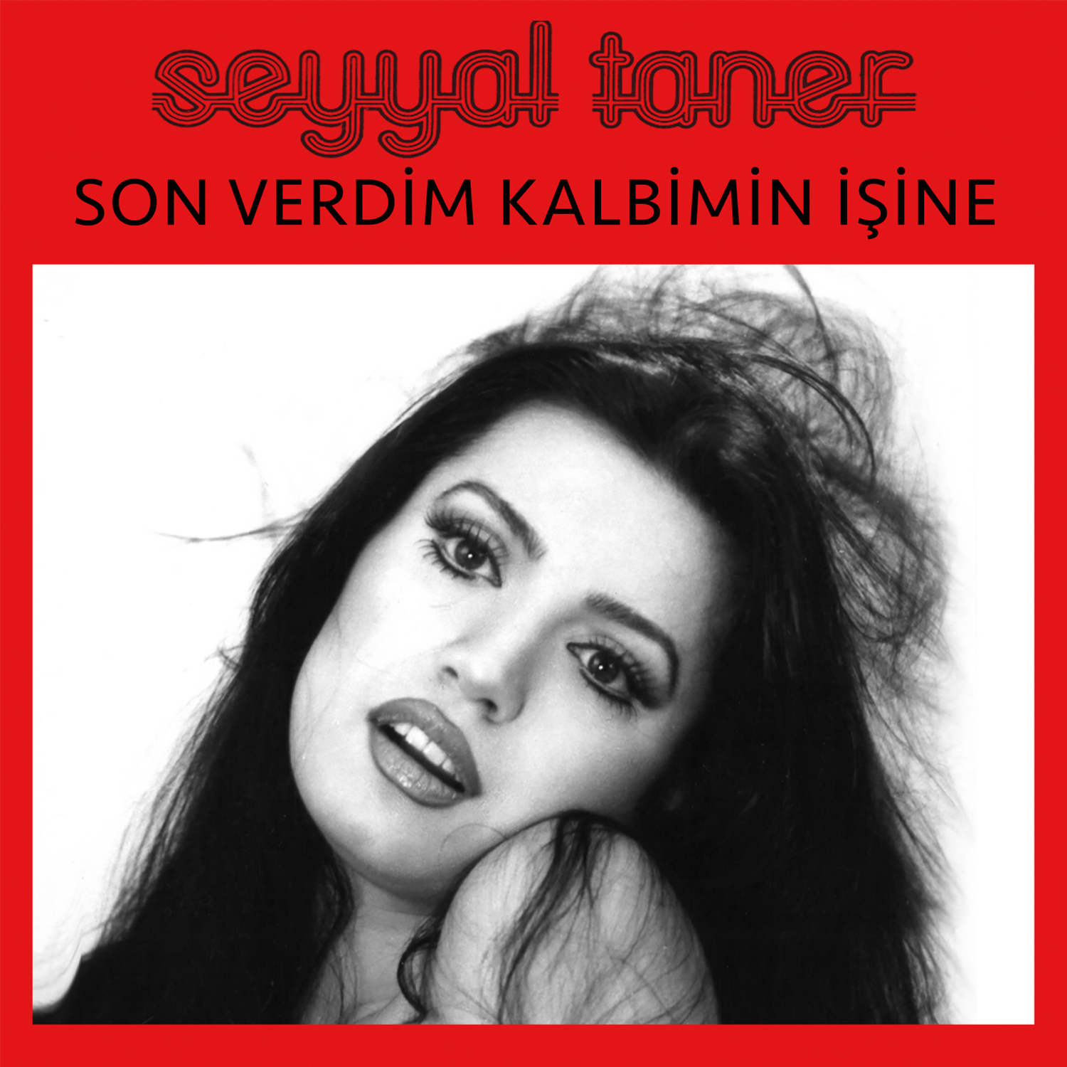 Son Verdim Kalbimin İşine