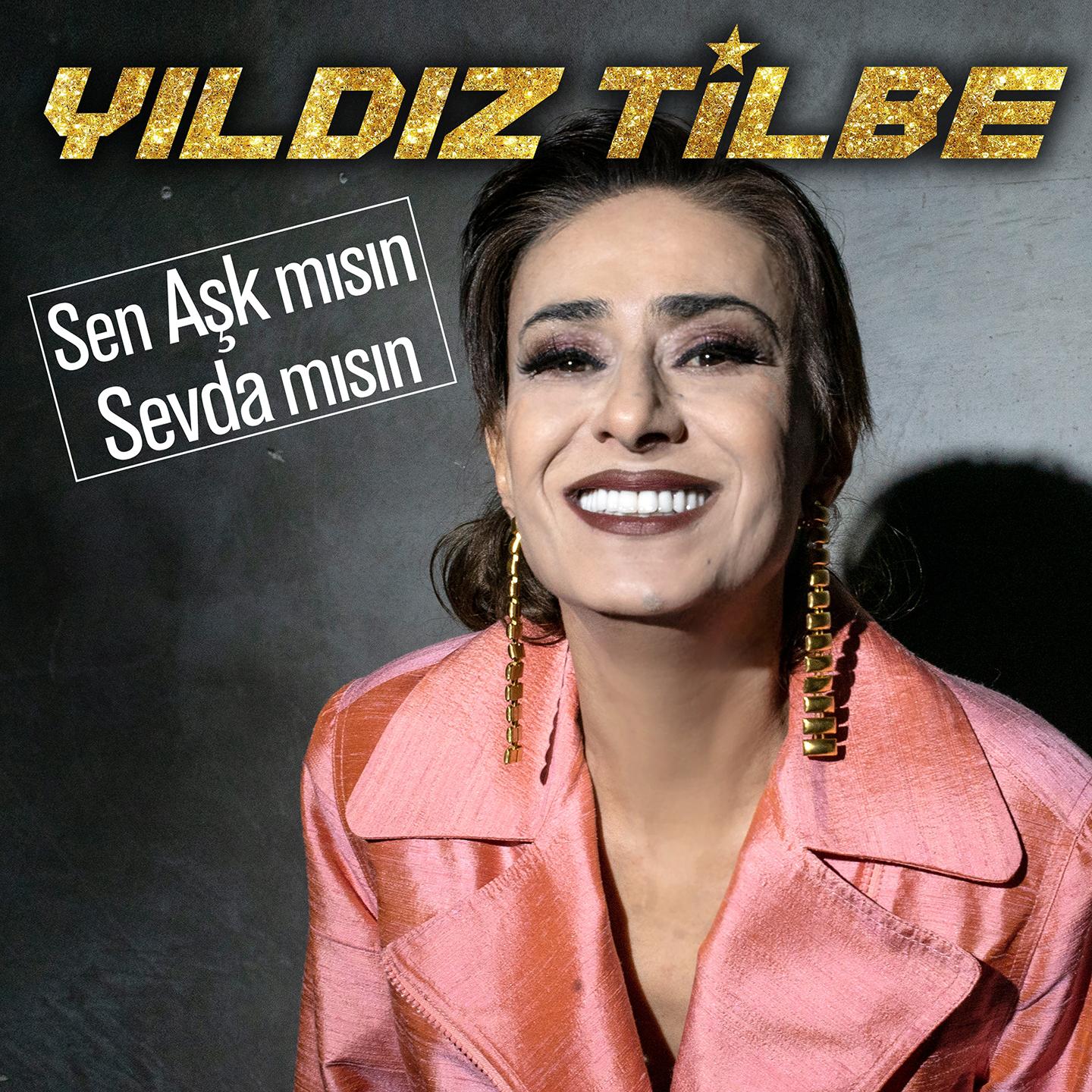 Sen Aşk mısın Sevda mısın