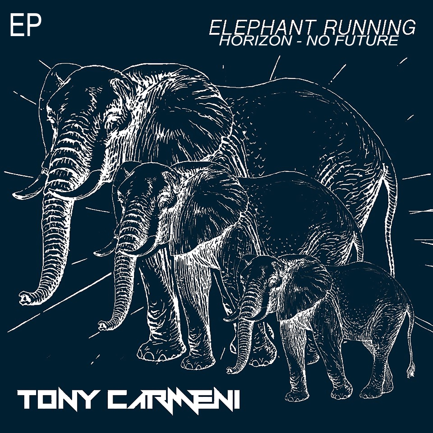 Elephant Running