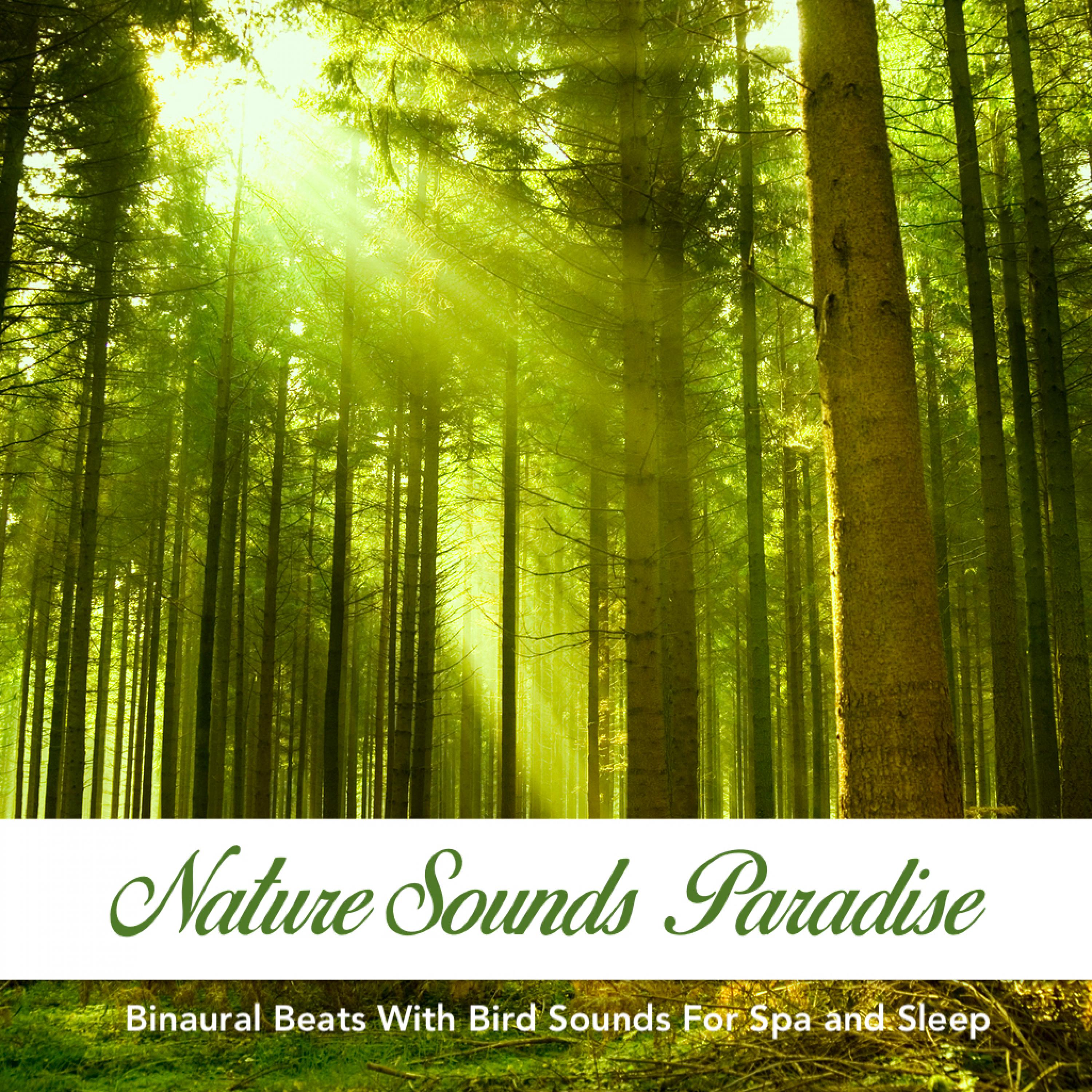 Nature Sounds Paradise: Binaural Beats With Bird Sounds For Spa and Sleep