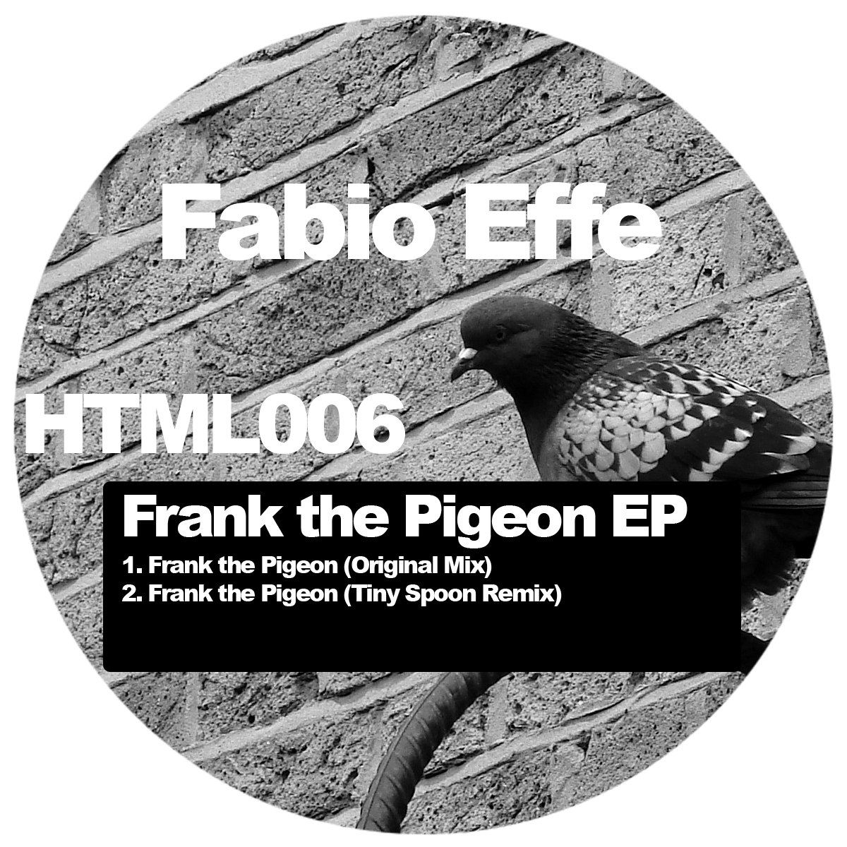 Frank The Pigeon