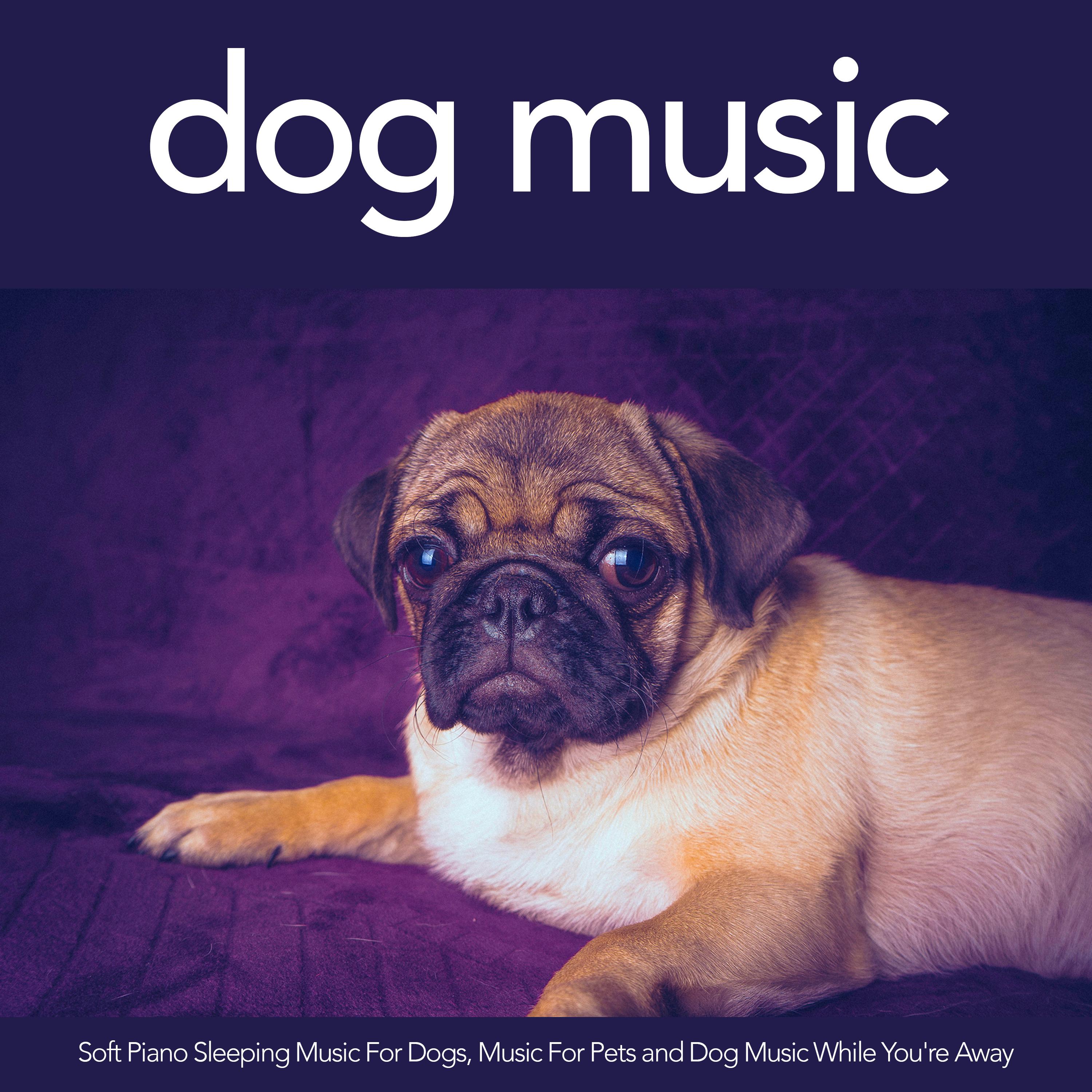 Music For Pets While You're Gone