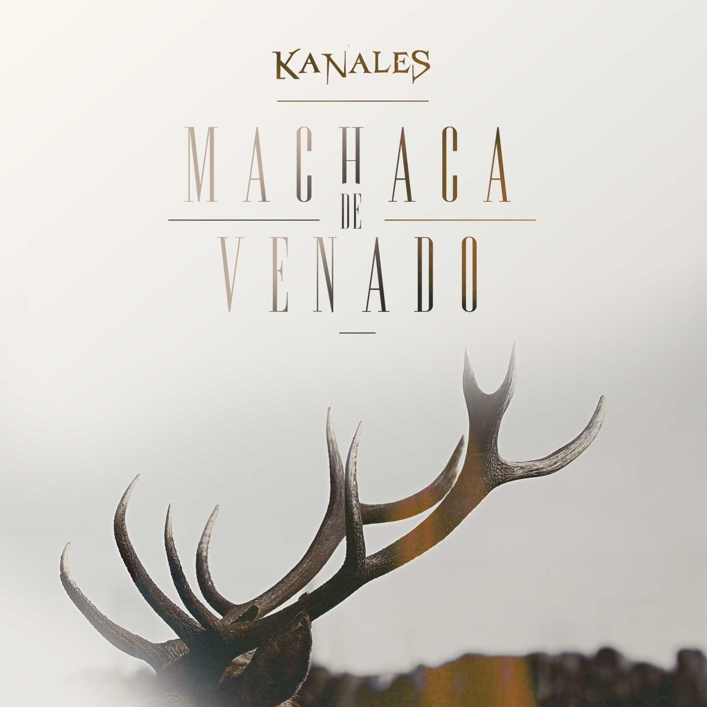 Machaca de Venado