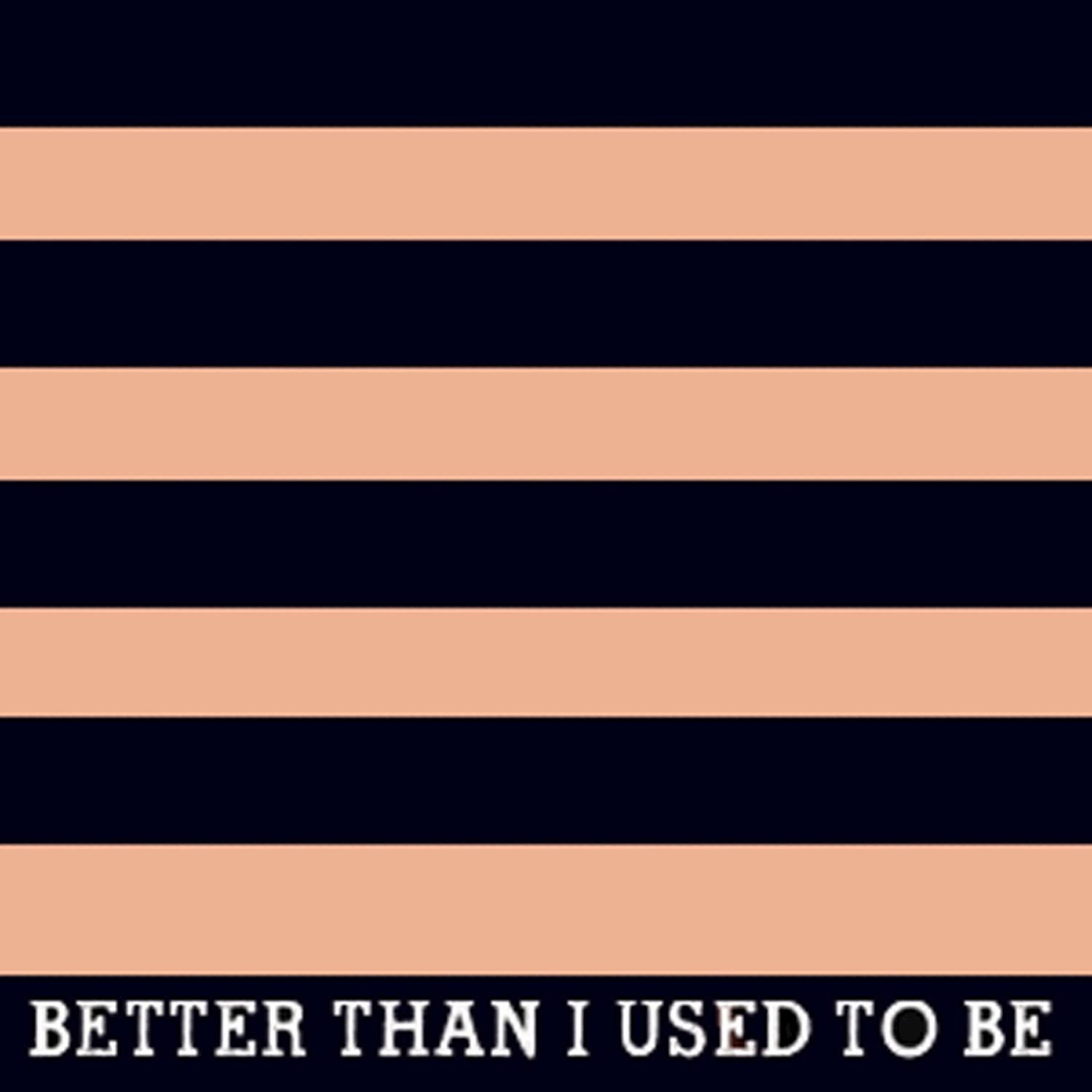 Better Than I Used to Be (I'm) - Single (Tim McGraw Tribute)