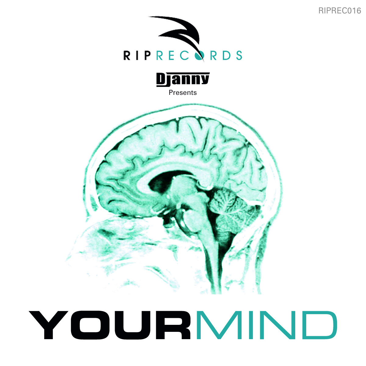 Your Mind