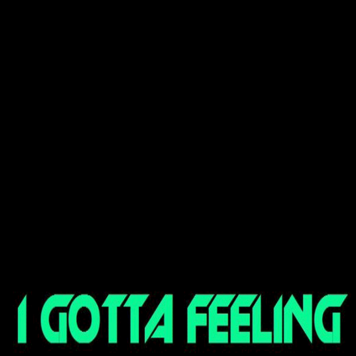 I Gotta Feeling - Single (The Black Eyed Peas Tribute)